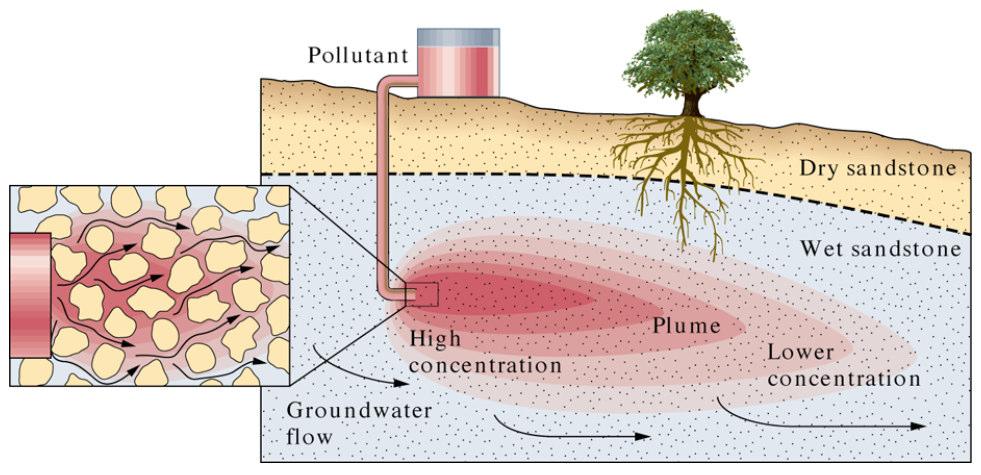 Groundwater Pollution commonly occurs as plumesthat show concentration gradients having constituents concentrations decreasing away from the source area.