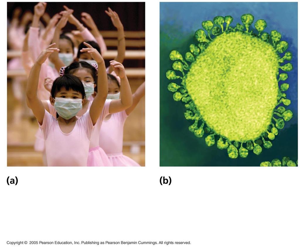 Young ballet students in Hong Kong wear face masks to protect themselves from the virus causing SARS.