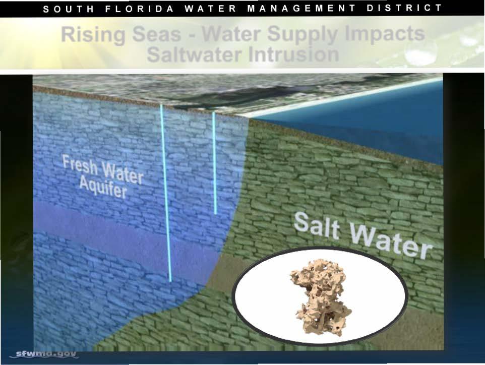 SOUTH FLORIDA WATER MANAGEMENT DISTRICT Rising