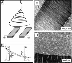 nanofiber Thinner fibers Alignment