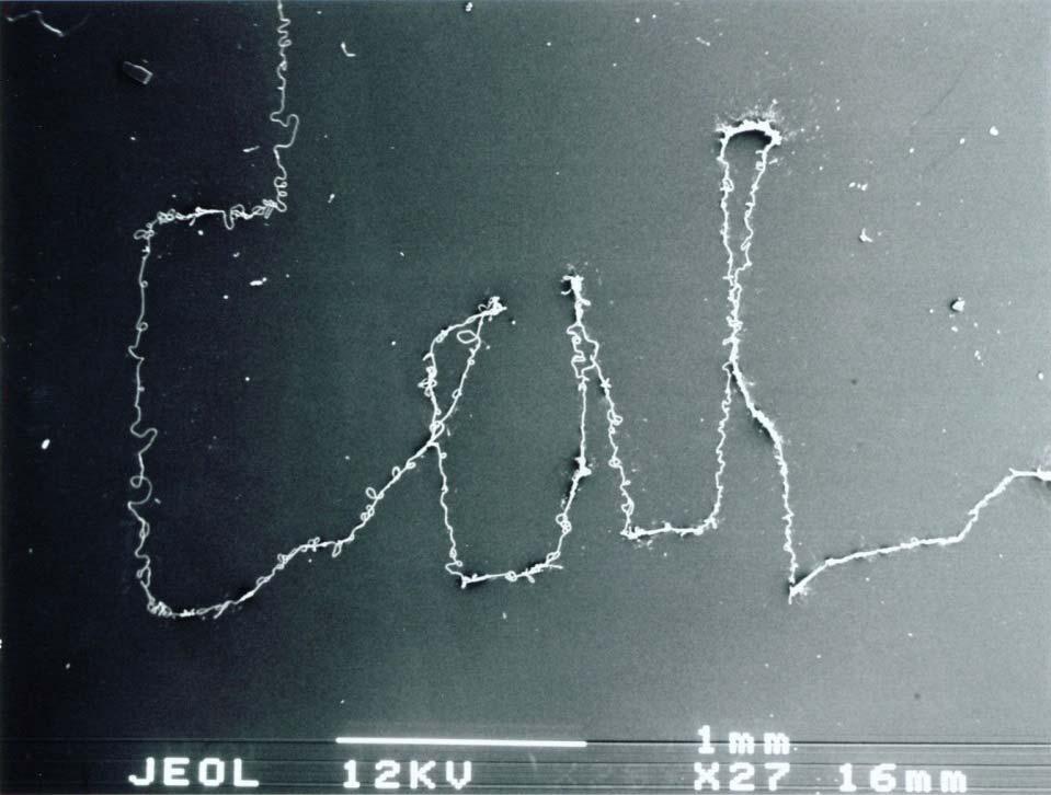 (PEO) Nanofiber