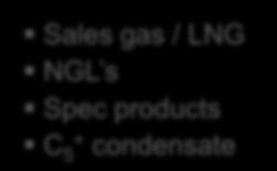 Efficiency Consumption Disposal Sales gas / LNG NGL s Spec products C 5 + condensate Availability