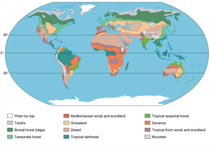 The Worlds Major Forest Biomes