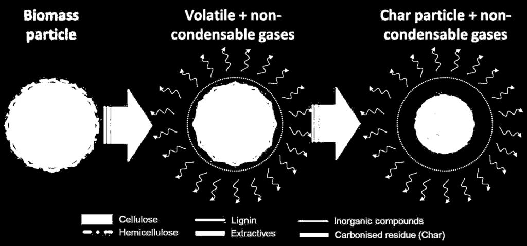 Biomass and wastes gasification Gas reforming & char conversion Oxidation Drying & volatiles Gomez-Barea et al.