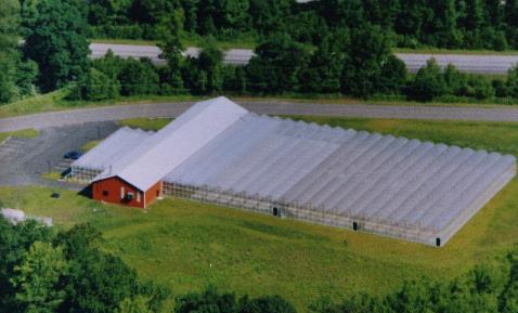 Cogeneration at Landfills for Controlled Environment Agriculture: An Economic