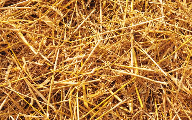 Straw Biomass