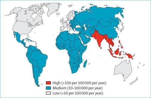 Figure 1: Global incidence of enteric fever [10] Peak incidence of typhoid fever