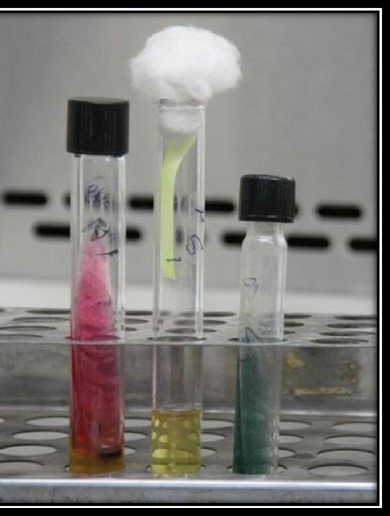Figure 19: Biochemical Test Tube Klinger s Iron Agar (KIA): This is a complex medium that contains a large amount of lactose and a very small amount of glucose, a ph indicator (yellow in acid and red