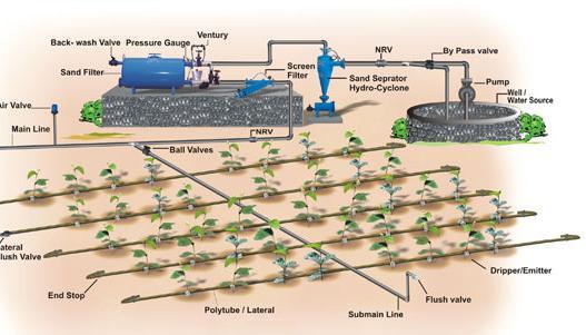 Fig: Localized Irrigation drip irrigation, also known as trickle irrigation or micro irrigation, is an irrigation method that hoard water and sustenance by allow water to drip slowly to the roots of