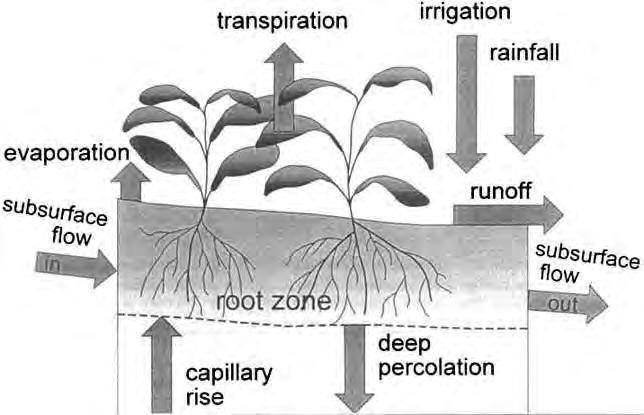 Why do we irrigae: replenish the amount of water used by the crop (ET C ) since the last irrigation Crop ET = Reference ET x Crop Coefficient ET C ET O k C Also used in system