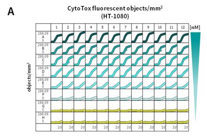 The cytotoxic index was calculated by dividing the number of CytoTox green fluorescent objects by the total number of DNA containing objects (fluorescent objects counted post Triton X-100 treatment).