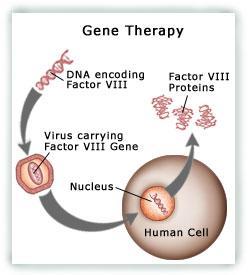 Gene Therapy Involves inserting a proper working copy of a gene into the cells that lack the ability to produce their own protein.