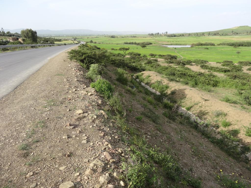 Water from roads is being channeled into farm land; later it joins