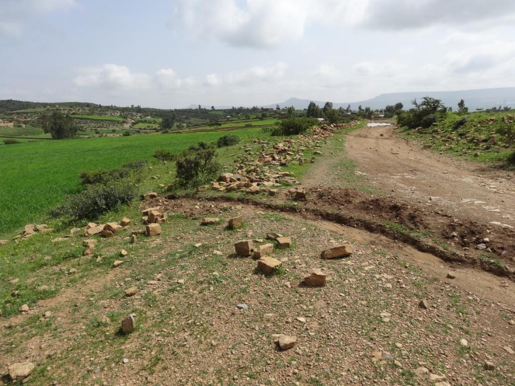 farm in Hawzien area, Tigray, northern Ethiopia.
