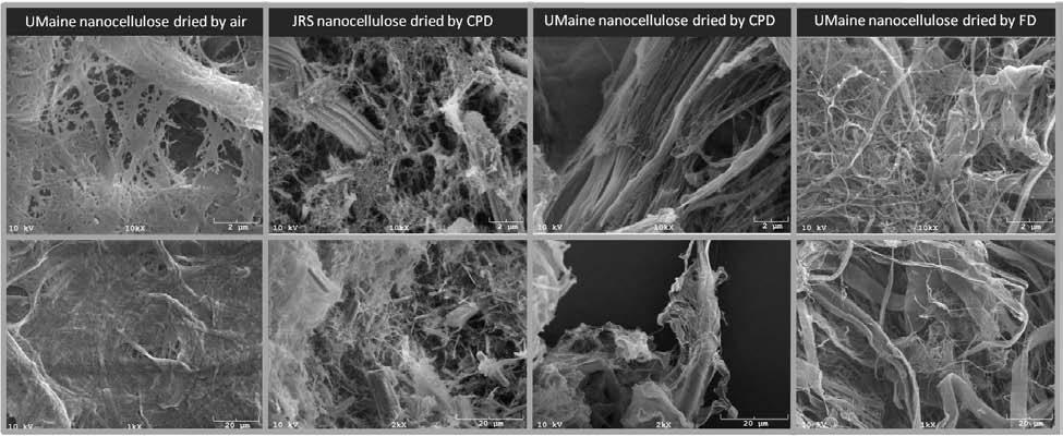pressure with the subsequent removal of carbon dioxide from the CNF leaving dried nanofibrils that maintain nano scale dimensions (Figure 4).