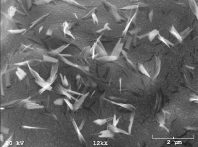 Cellulose Nanofibril Reinforced Wood-inorganic Composites Cellulose nanofibril reinforced wood-inorganic composites are another field being studied at the University of Maine.