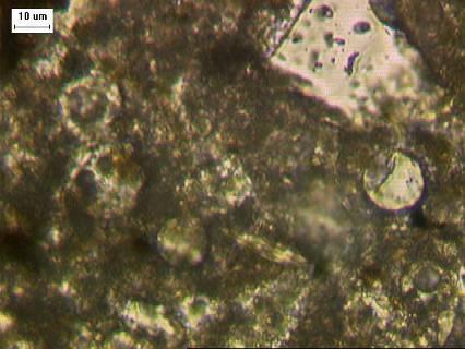 Figure 46. Thin Section of Batch G (fly ash, 0.