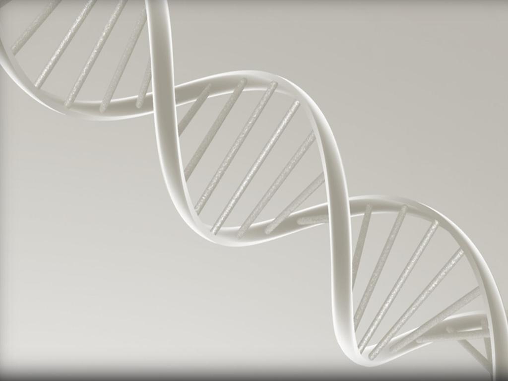BIOLOGY Who among the following conclusively proved that DNA is the genetic material? a. O.T Avery. C.