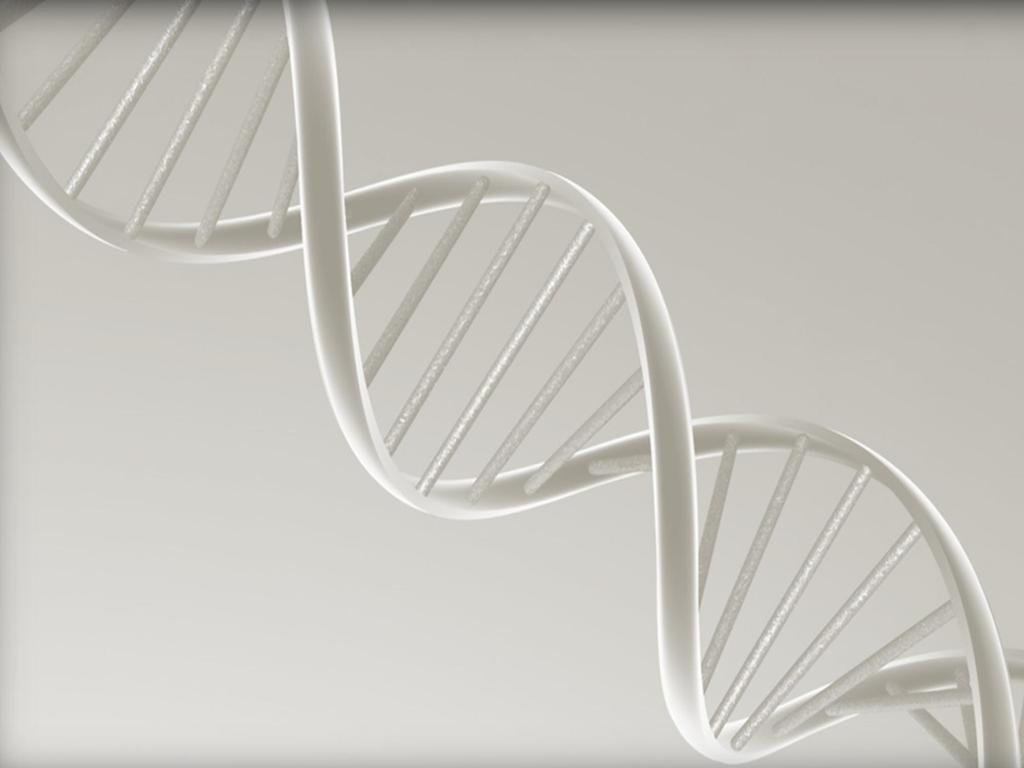 BIOLOGY Who among the following conclusively proved that DNA is the genetic material? a. O.T Avery. C.