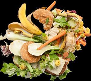 composting, food waste must be addressed. At EDCO We ll Take Care of It!