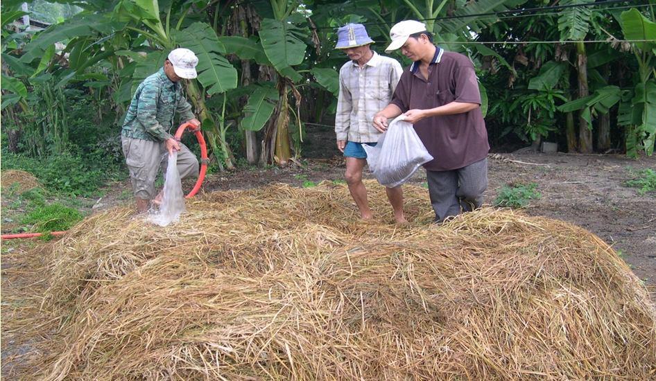 yield of rice obtained 3.77 to 4.63 T/ha. That was statistically significant difference as compared to farmers practice (3.43 to 3.71 T/ha) at 0.01 level in case of An Giang (T value = 4.