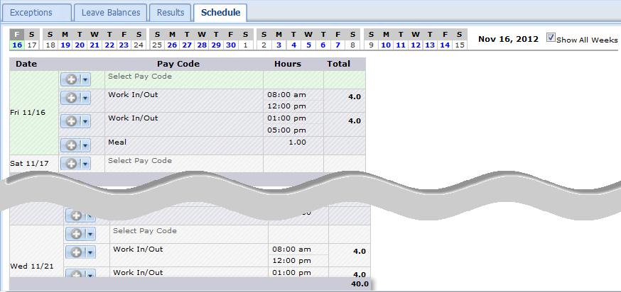 Schedule Tab The Schedule tab displays any assigned schedule; even if you do not have an