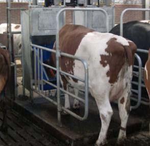Animal RFID in Dairy Farming I