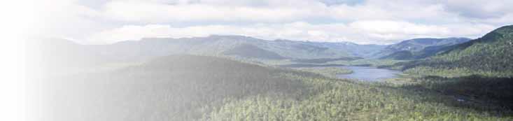 Transparent & Effective Communications Transparent and effective communications ensure stakeholders are aware of BC Timber Sales distinctive impact, help sustain stakeholder relations, and can