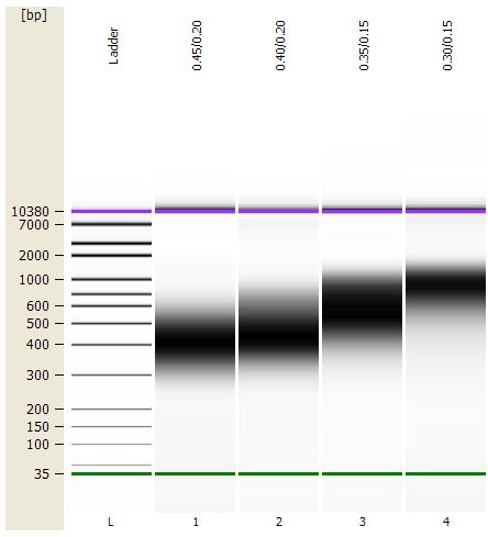 Size Selection of Adaptor-ligated DNA! For libraries with different size fragment inserts, refer to Table 1 for the appropriate volume of beads to be added.