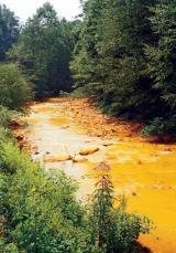 Bioremediation: PCB Eating Bacteria PCBs or polychlorinated biphenyls are a by-product of a number of industrial processes. These compounds are highly toxic and environmentally persistent.