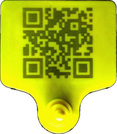8 LITS Farmer Handbook 2.1 Livestock Tags 10) LITS will use a standard 80mm x 70mm yellow tag for all project sites.