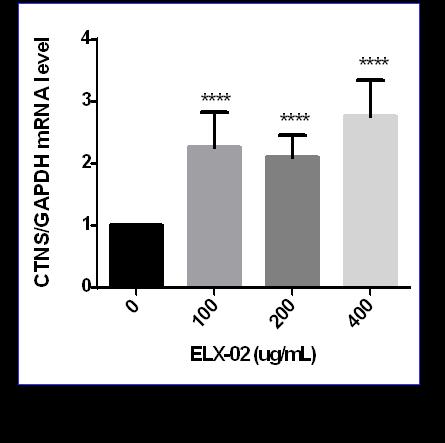 ELX-02 Preclinical Cystinosis In