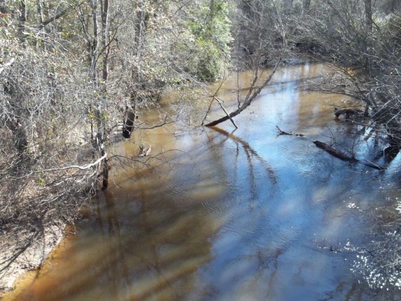 Hydrologic Characteristics: Big Sandy Creek is classified as a freshwater stream with perennial flow and is used as a sole-source surface drinking water supply for the International Alert Academy and