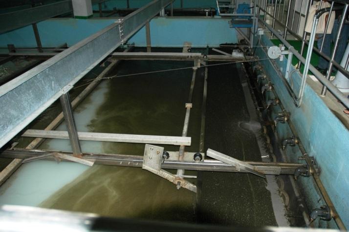 suppress algae growing in the first place Kill algae at