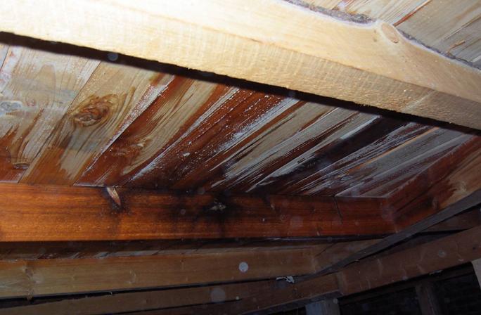 The most common roof damage Water vapour Ice dams Moisture in a poorly ventilated