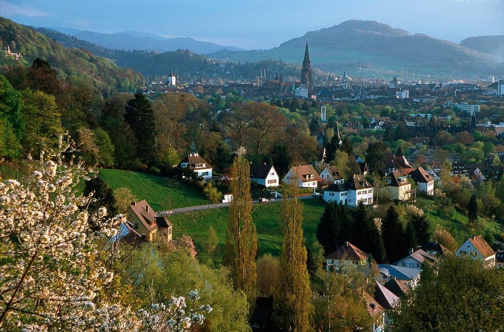 Freiburg facts and figures population: 220,000 students: 30,000 university: 560 years old service sector, tourism, little