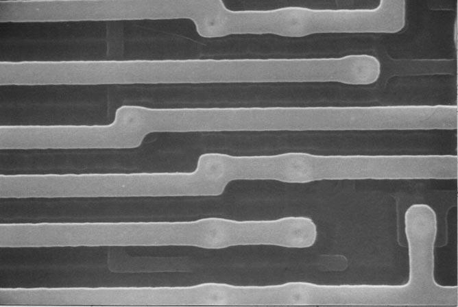 SEM section view of a metal 1 line