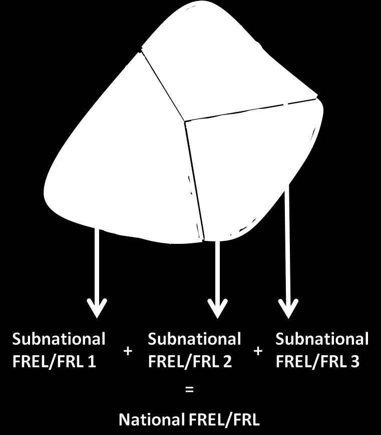 The subnational development of FREL/FRLs may provide more flexibility at the subnational level to choose the approach, scope and data which better responds to the local situation.