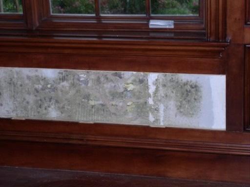 The gypsum board and wood paneling was replaced twice after recurring conditions and attempted repairs to both the stone veneer and windows. Yet the mold growth continued to reappear.