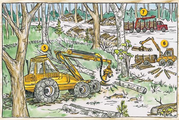 Logging Truck 1.