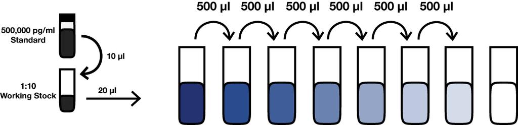e) Using a pipette set at 500 μl, mix S7 thoroughly by pipetting up and down. Transfer 500 μl of S7 to S6 and mix thoroughly by pipetting up and down. Repeat to complete series to S1.