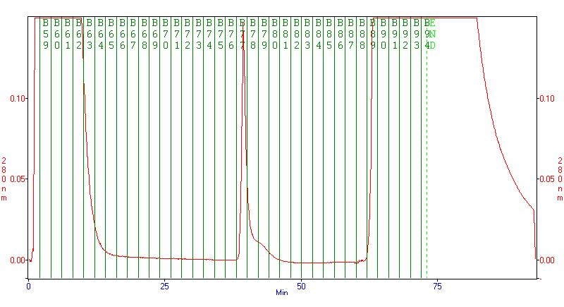 Results and Discussion The GFP fused to a C-terminal Strep-tag (28 kda) was expressed in E. coli, as recommended by IBA GmbH. Approximately 2 g E.