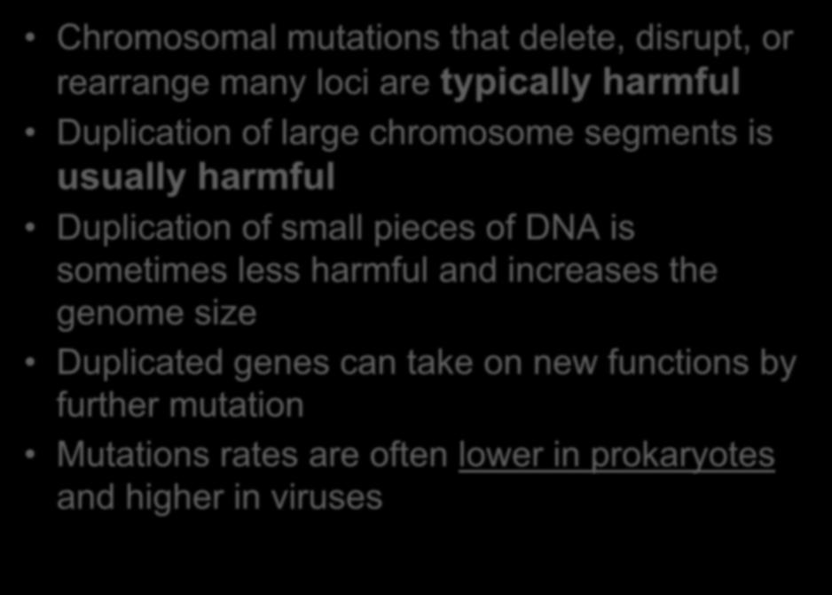 Mutations That Alter Gene Number or Sequence Chromosomal mutations that delete, disrupt, or rearrange many loci are typically harmful Duplication of large chromosome segments is usually harmful