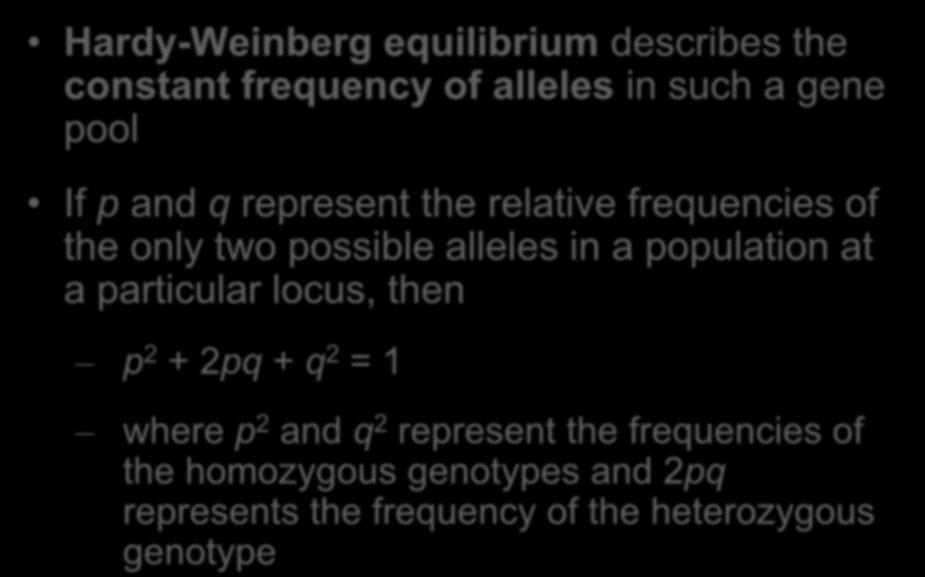 Hardy-Weinberg equilibrium describes the constant frequency of alleles in such a gene pool If p and q represent the relative frequencies of the only two possible alleles in a