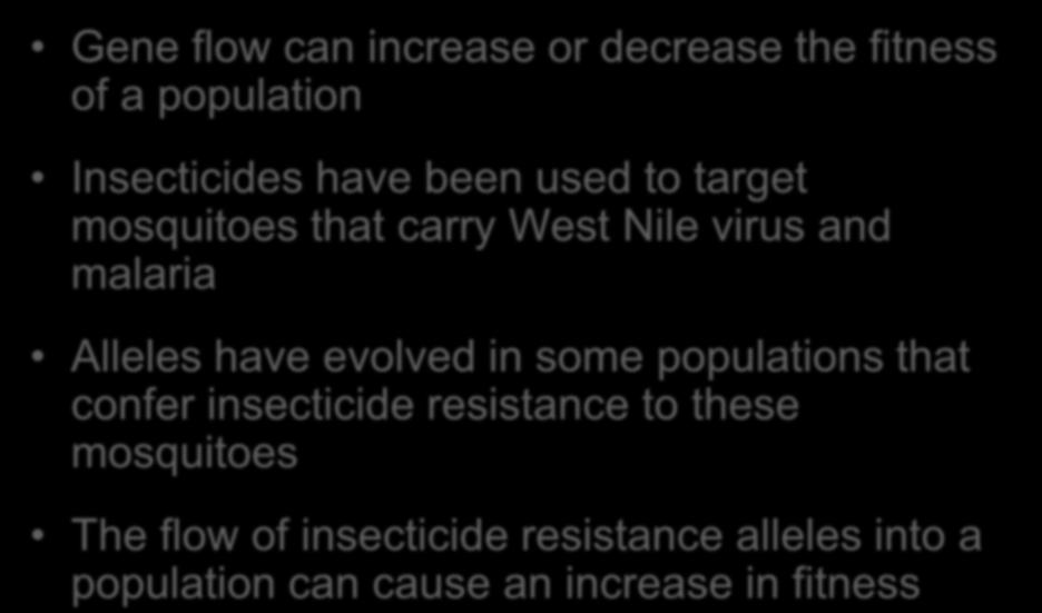 Gene flow can increase or decrease the fitness of a population Insecticides have been used to target mosquitoes that carry West Nile virus and malaria Alleles have evolved