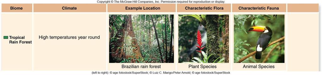 Biomes Tropical rain forests 140-450 cm or 55-177 inches rain/yr Richest ecosystems in Biodiversity on land.
