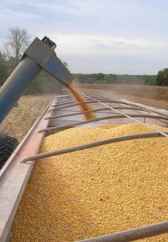 2007 a Very Good Year Production reaches 13.1 billion bushels Largest crop in U.S.