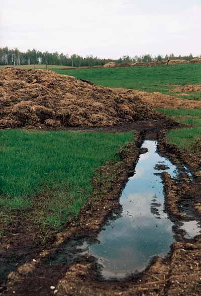 Nitrogen loss to the environment Nitrogen can be lost from dairy