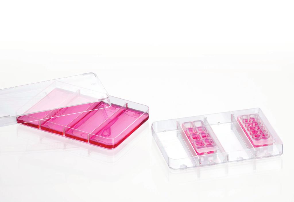 quadriperm flexiperm quadriperm Cell culture dish for parallel analyses quadriperm is a rectangular cell culture dish suited for a range of applications with the following benefits: Cell culture dish