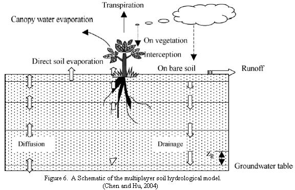 Soil Hydrological model Due to the various vertical distribution of saturated hydraulic